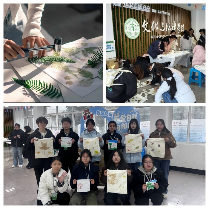 图片6.jpg 图片6.jpg